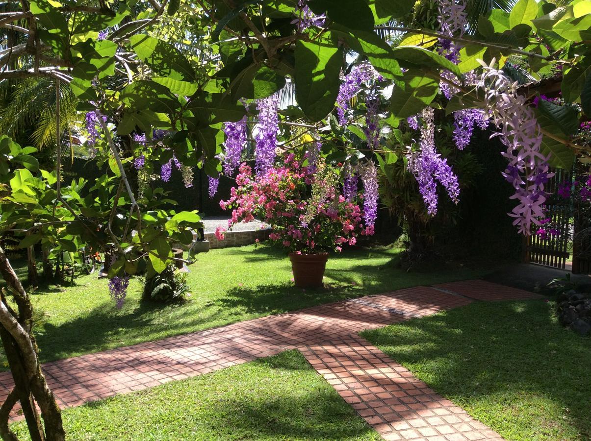 Posada Nena Caribe Puerto Viejo de Talamanca Exterior foto